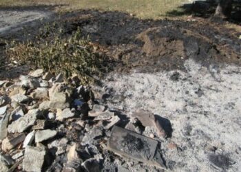 Cumuli di rifiuti interrati scoperti nel Parco Nazionale della Sila