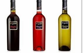 Nuovi vini nascono nella terra del Ciro’ Doc e dell’Enoteca