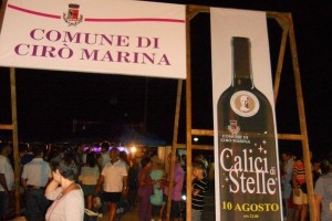 Calici sotto le stelle (2)