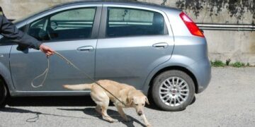 Consumo di droga, controlli della finanza durante l’estate crotonese