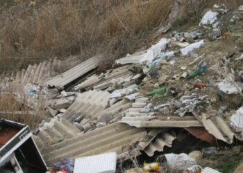 Petilia, salvati due cagnolini di appena due mesi