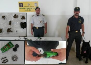 Hashish nascosta nel gel per capelli, fiutata dai cani antidroga