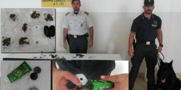 Hashish nascosta nel gel per capelli, fiutata dai cani antidroga