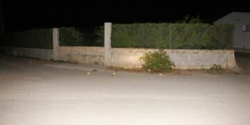 Fermato l’omicida di Rizzo, e’ un ristoratore di Isola Capo Rizzuto