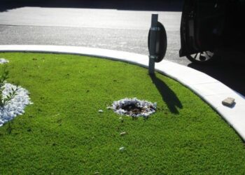 Ciro’ Marina, rubata piantina dalla rotonda di Torrenova