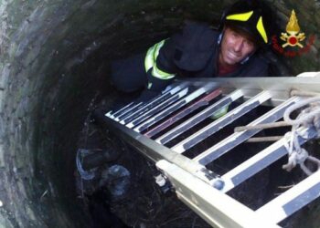 Ciro’ Marina: cane in un pozzo, salvato da vigili fuoco