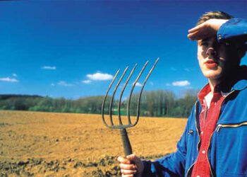 La proposta di Oliverio (PD): ai giovani terre incolte e confiscate