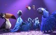 Rio 2: i pappagalli vi aspettano su Sky PrimaFila e in Dvd