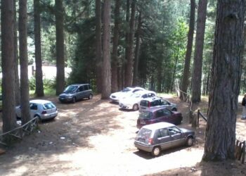 I boschi della Sila un ottimo parcheggio per le macchine
