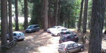 I boschi della Sila un ottimo parcheggio per le macchine
