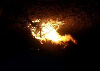 Ferragosto, tutti al mare, in localita’ “Marinella”