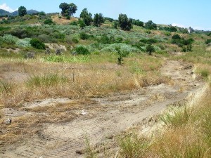 Strada-spartifuoco in area Sic