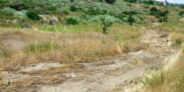 I commissari fanno effettuare stradelle spartifuoco nell’area Sic