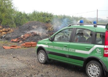 Scandale, operaio brucia rifiuti: ‘non sapevo fosse reato’