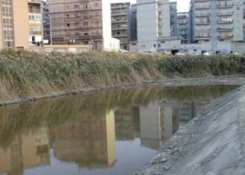 Inquinamento, M5S: rendere pubblici risultati analisi fiume Esaro