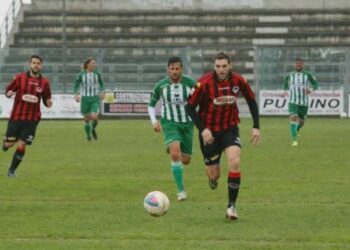 Vigor Lamezia, arriva un nuovo difensore