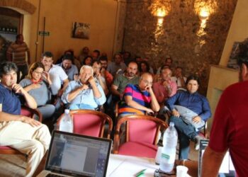 I produttori calabresi del vino fanno rete per affrontare il futuro