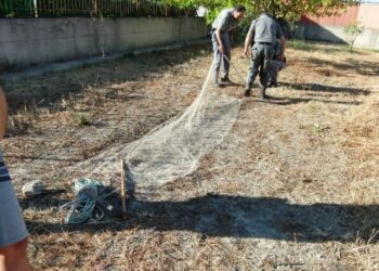 Sorpreso con rete per uccellagione, denunciato 54enne a Ciro’ Marina