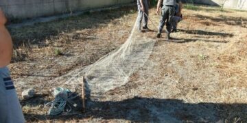 Sorpreso con rete per uccellagione, denunciato 54enne a Ciro’ Marina