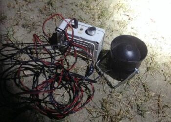 Caccia illegale, evitata mattanza di quaglie nel crotonese