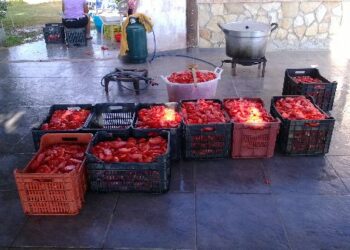 La salsa fatta in casa come una volta