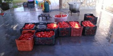 La salsa fatta in casa come una volta