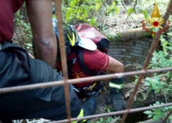 Gatto cade in un pozzo di 10 metri, salvato dai pompieri – FOTO