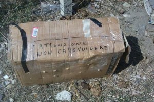 Scatolo con cani dentro