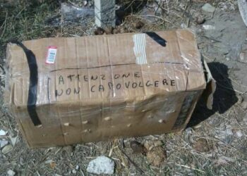 Pacco ‘Attenzione: non capovolgere’ davanti casa, ma dentro ci sono cani