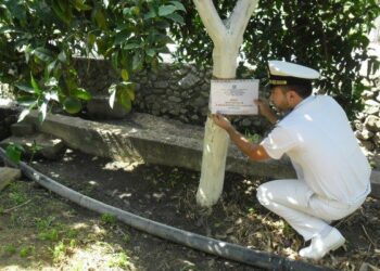 Avaria nel depuratore di Corigliano, liquami fognari sversati nei terreni