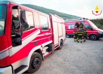 Va a cercare funghi ma si perde, ritrovato anziano nella Sila Piccola