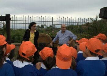 Ciro’ Marina, la cantina apre le porte ai bambini del ‘Ferrari’