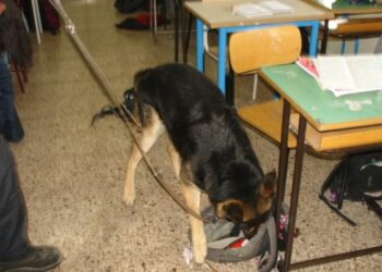 Droga nelle scuole, a Cosenza era nascosta in bagno