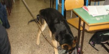 Droga nelle scuole, a Cosenza era nascosta in bagno