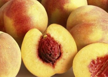 Crisi filiera pesche, Oliverio: regione apra subito tavolo di confronto