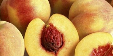 Crisi filiera pesche, Oliverio: regione apra subito tavolo di confronto