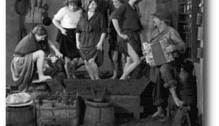 Si terra’ domani 20 settembre la ‘Festa della Vendemmia’