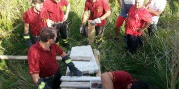 Vigili salvano due cavalli a Ciro’