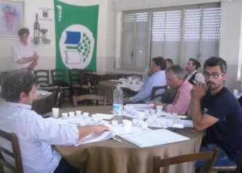 Analisi sensoriale delle uve, particolare corso a Ciro’ Marina