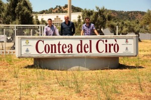 CUFARI-CASTIGLIONE-SPATARO