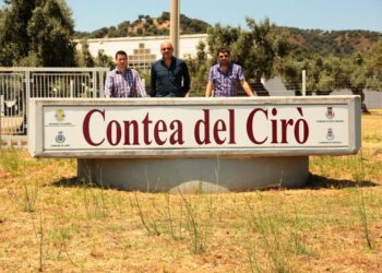 Si chiama ‘Chirone’, il primo Rosso della Contea del Ciro’