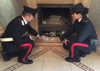 Mesoraca: droga nascosta nel camino, fiutata dal cane Ergos