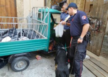 Crotone, rione Fondo Gesu’ e centro storico al setaccio dai Carabinieri