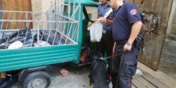 Crotone, rione Fondo Gesu’ e centro storico al setaccio dai Carabinieri