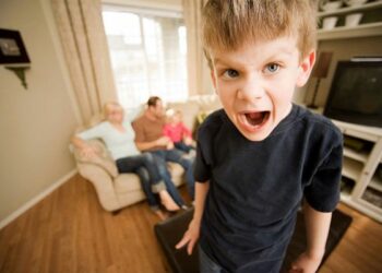 Disturbo oppositivo provocatorio analizzato da Margherita Crogliano