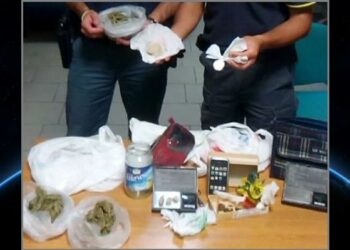 Crotone: vedono la polizia e scappano, agenti trovano la droga