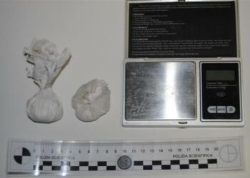 Cocaina nascosta nel giardino di casa, un arresto a Isola