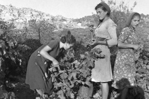 Fotografia storica Melissa