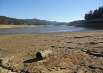 Fusti sospetti lago Ampollino, Belcastro: semplici abbeveratoi