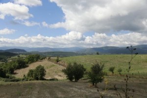 Marchesato Crotonese